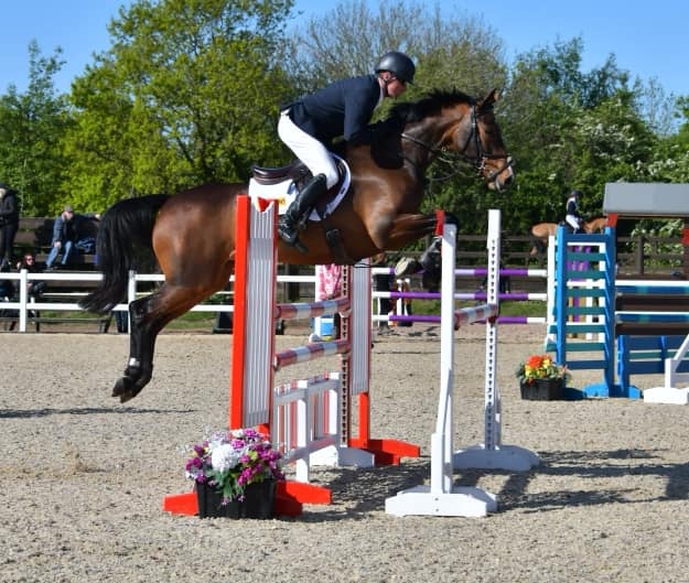 Top Show Jumping Horses For Sale